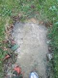 image of grave number 583785